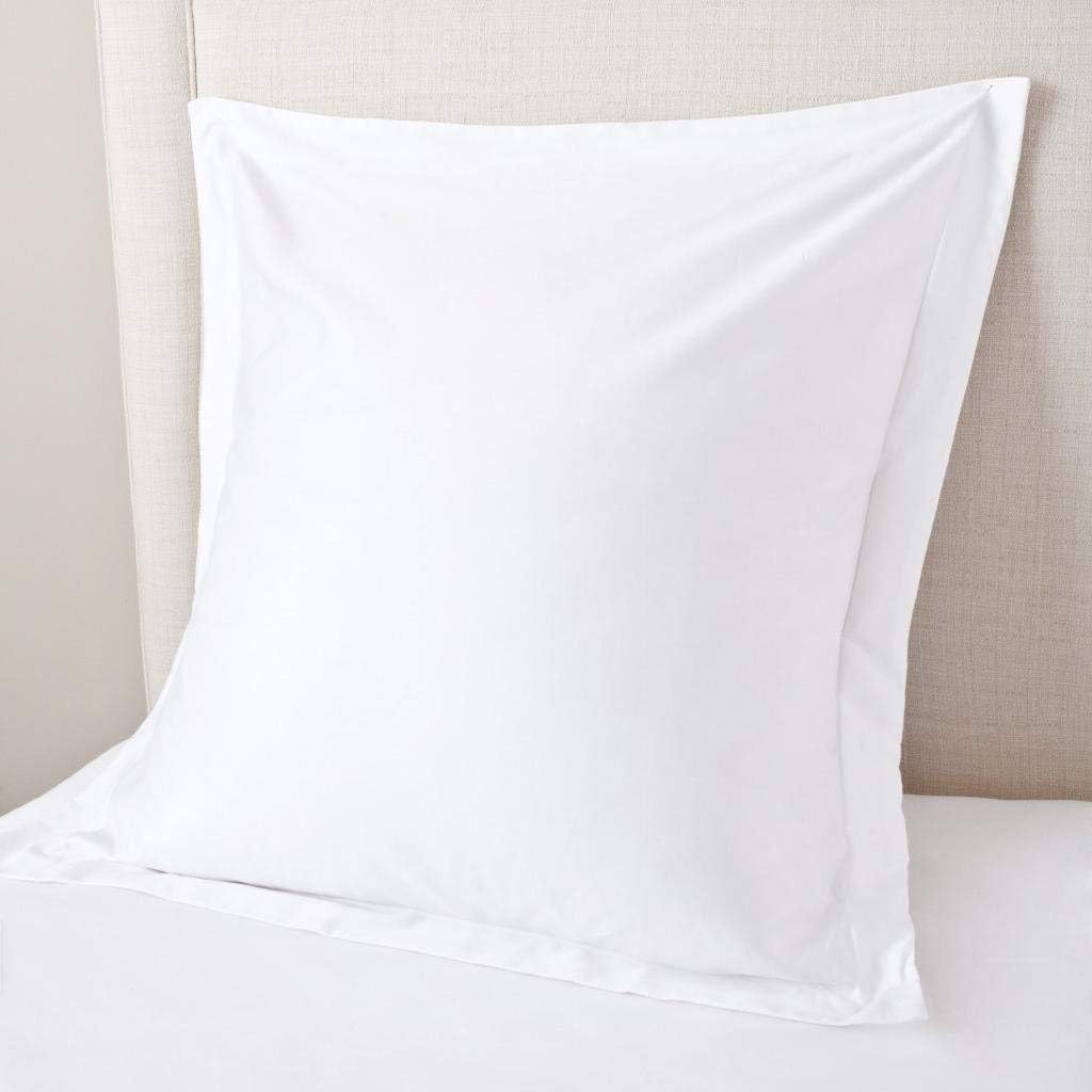 European Size Pillowcase 24x24 High Thread Count Cotton Decorative Cushion 2 Pack